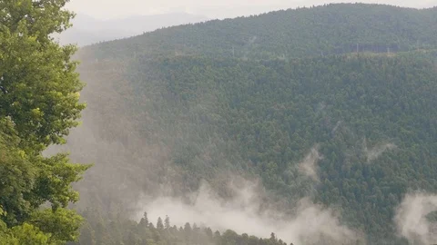 Foggy clouds over green mountain and hills covered green forest Stock Footage 94040723