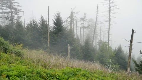 Foggy clouds passing through a mountain 스톡 동영상 90876966