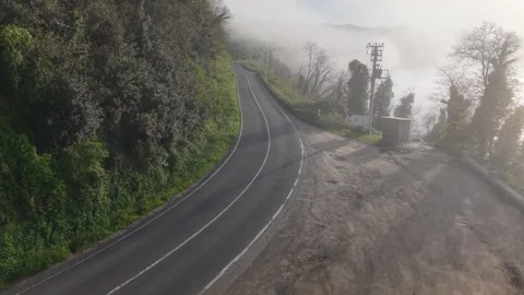 Foggy Coastal Road Through Forest and Sea Stock Footage 337158335