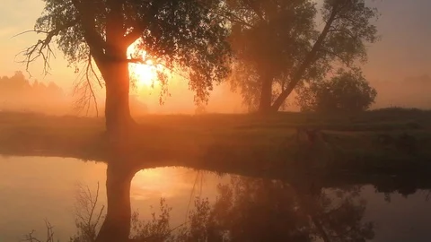 Foggy dawn over a beautiful spring river Vídeos de archivo 78149937