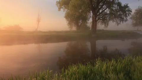 Foggy dawn over a beautiful spring river Stock-Footage 78842491