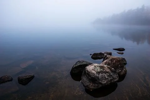 Foggy dawn Stock Photos