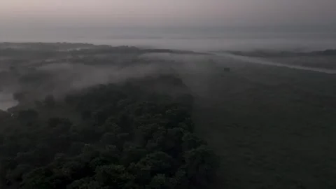 Foggy dawn in sauraha, chitwan, nepal Stock Footage 288595953