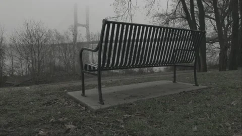 Foggy Day 01 Stock Footage 228798620