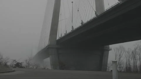 Foggy Day 03 Stock Footage 228798575