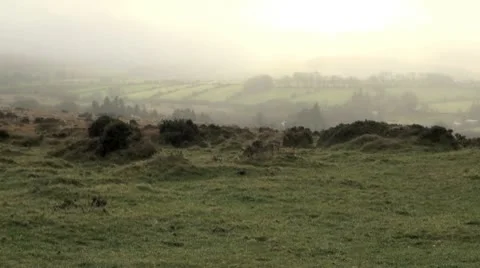 Foggy Day on Dartmoor Stock Footage