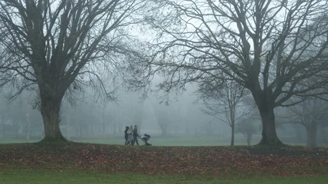 Foggy Day in the Irish Memorial Gardens with  couple walking Stock Footage
