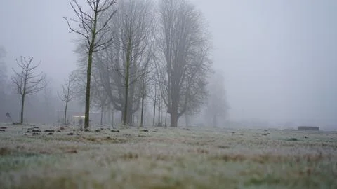 Foggy day Stock-Fotos