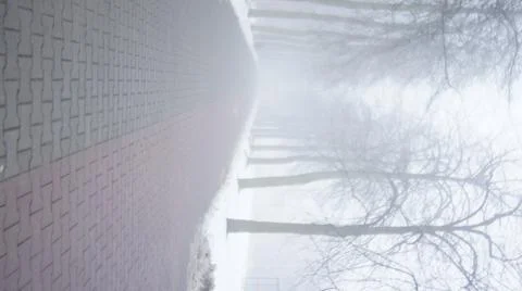A foggy Day Fotos de archivo