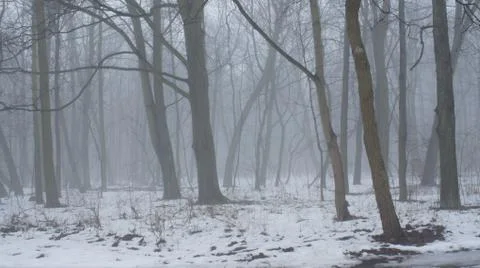 A Foggy Day Stock Photos
