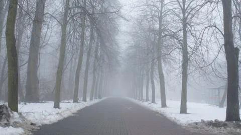 A foggy Day Stock Photos
