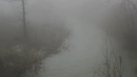Foggy day in a winter forest Stock Footage 112045928