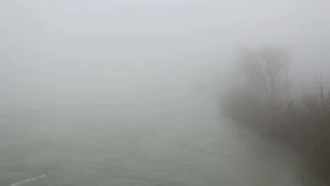 Foggy day in a winter forest Stock Footage 112046023