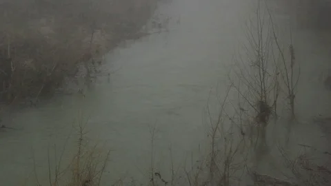 Foggy day in a winter forest Stock Footage 112046672