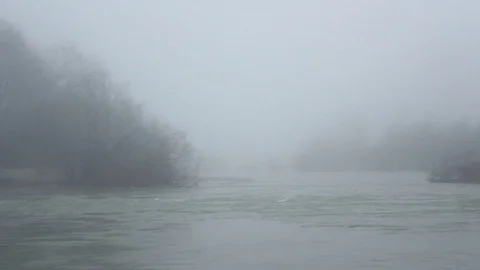 Foggy day in a winter forest Stock Footage 112047580