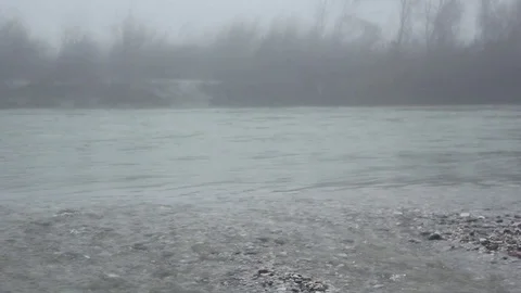 Foggy day in a winter forest Stock Footage 112048705
