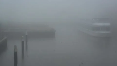 Foggy Dock Video stock 217466419