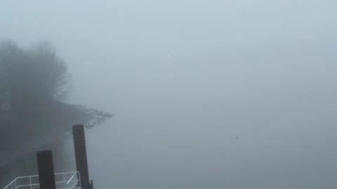 Foggy Dock Video stock 217466491