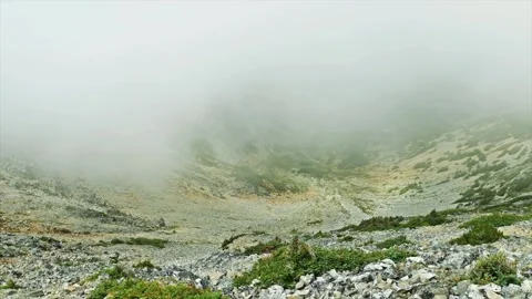 Foggy, dramatic landscape on the Mount Fremont Lookout Trail in Mount Rainier Na Stock Footage 332085782