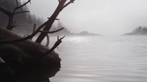 Foggy dramatic scene looking past a dead tree across Swan Lake in Montana Stock Footage 127468151