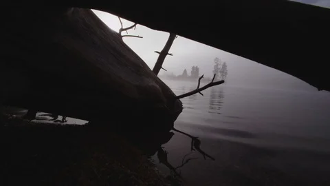 Foggy dramatic scene looking past a dead tree across Swan Lake in Montana Stock Footage 127468299