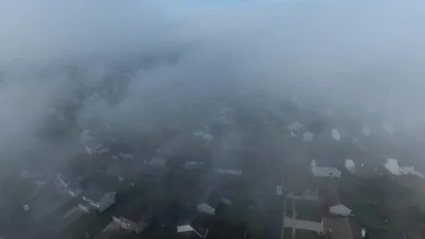 Foggy driving Vidéo 100361560