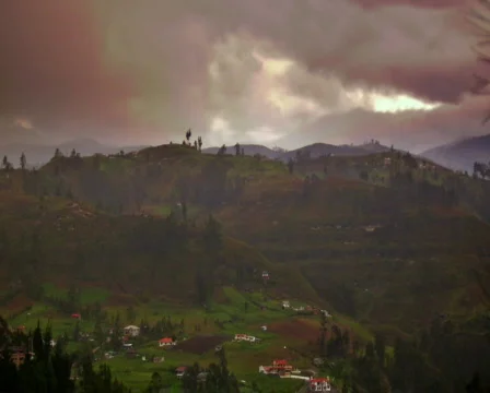 Foggy Ecuador Stock Footage 319563
