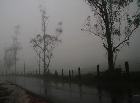 Foggy evening Foto stock
