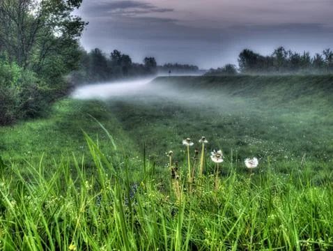 Foggy fall Stock Photos