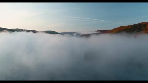 Foggy Fall River Sunrise Vidéo 317780574