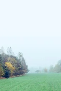 Foggy field in fall Stock Photos