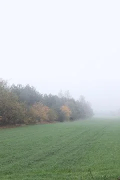 Foggy field in fall Stock Photos