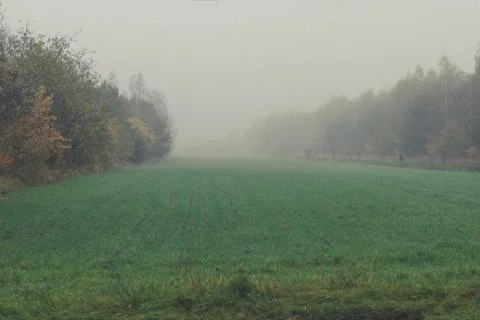 Foggy field in fall Stock Photos