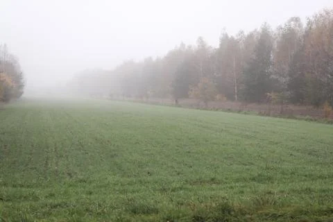 Foggy field in fall Stock Photos