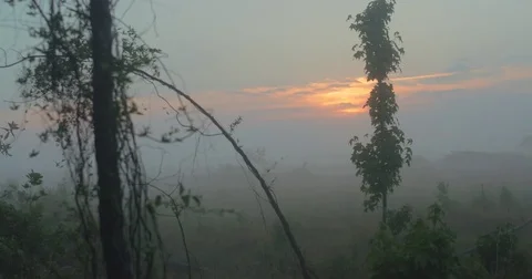 Foggy field at sunrise Stock Footage