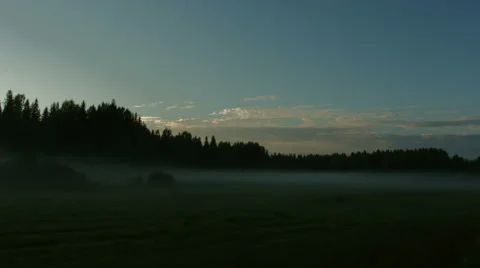 Foggy field at sunset Stock Footage 49157733