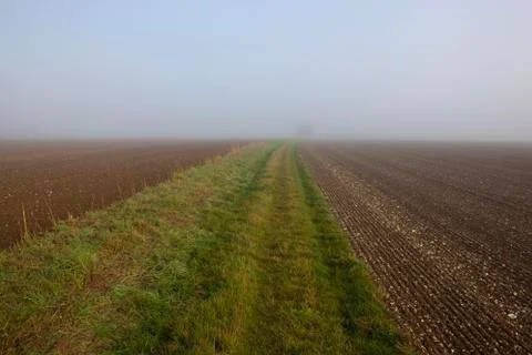 Foggy fields Stock Photos