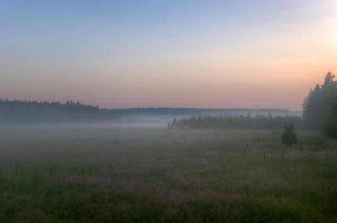 Foggy fields on sundown Stock Photos