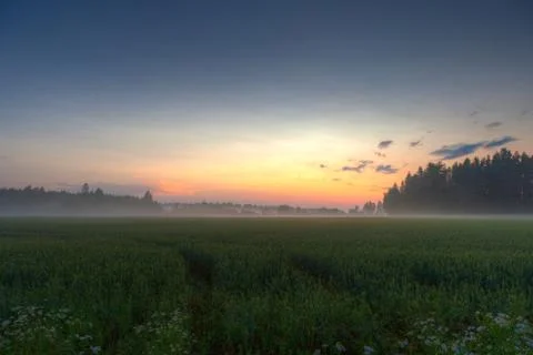 Foggy fields on sundown Stock Photos