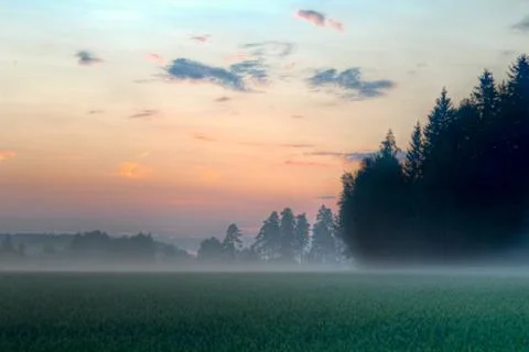 Foggy fields on sundown Stock Photos
