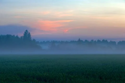 Foggy fields on sundown Stock Photos