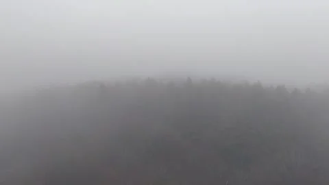 Foggy Forest | Asagiri Kogen | Trees - 4K Aerial Video Stock Footage 329055546
