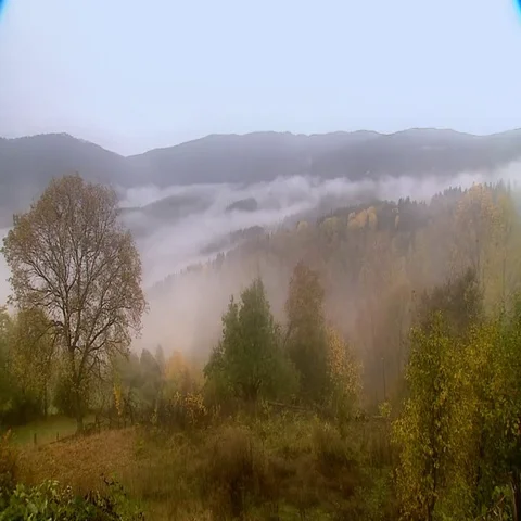 Foggy forest in Karabük Stock Footage 69633854
