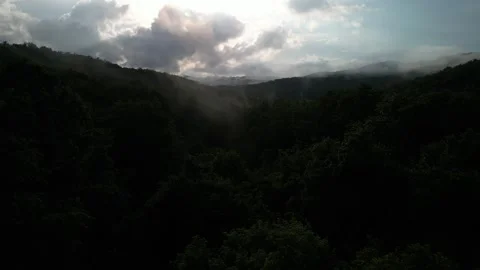 Foggy Forest Landscape with Dramatic Clouds 2 Stock Footage 306225182