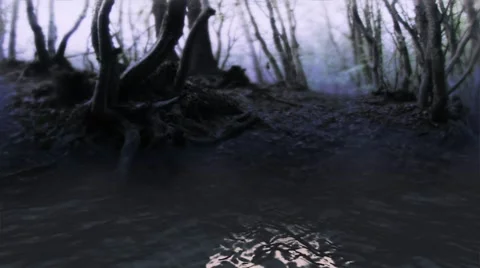 Foggy Forest Loop Video stock 7764723