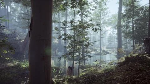Foggy Forest with soft sun light Stock Illustration