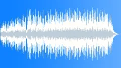 Foggy Forest Trail Stock Music