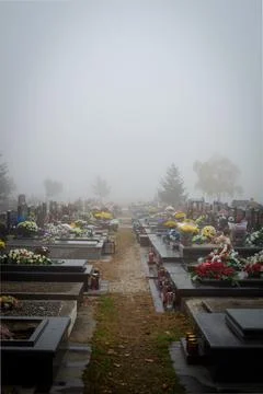 Foggy graveyard Stock Photos
