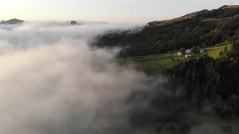 Foggy green  forest of spruce trees and sunrise rays  in  mountains. Stock Footage 169105332
