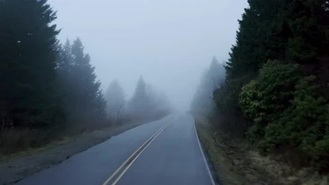Foggy Highway Stock Footage 197387591